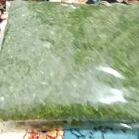 انواع سبزی .اش .اسفناج