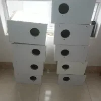 لانه عروس هلندی