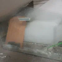 آکواریوم