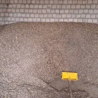 پوکه افتاب گردان