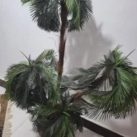 نخل تزیینی به همراه با گل شاخه ای