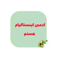 ادمین  حرفه ای اینستاگرام