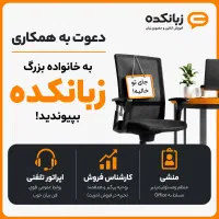 منشی خانم