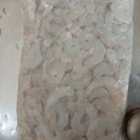 میگو پلویی پاک شده وسرتیز قایق
