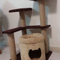 استند گربه