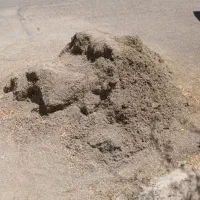 چندتا فرغون ماسه