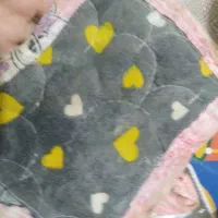 ظروف|ظروف سرو و پذیرایی|ایذه, |دیوار