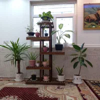 استند گل
