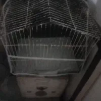 قفس پرنده