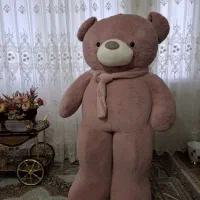 خرس شاسخین