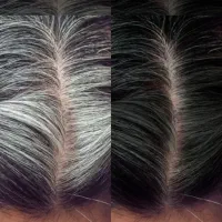 ایندفعه دیگه آخریشه