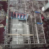 قفس غلامی سهره