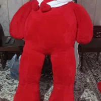 خرس 2متری و1متری سالم ونو