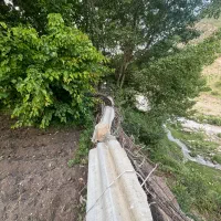 به راحتی صاحب زمین  ویلایی  در ییلاق شوید