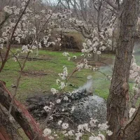 استخدام نگهبان و کارگر مجموعه باغی