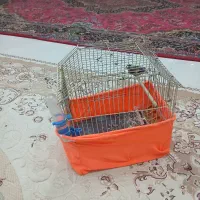 سهره|پرنده|خلخال, |دیوار