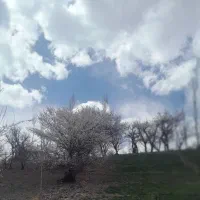 نیازمند کارگر
