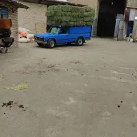 یونجه ذرت علوفه ای