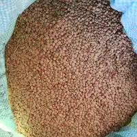 عدس|خوردنی و آشامیدنی|زرنه, |دیوار