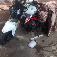 بنلی ۳۰۰ جفت  ۱۴۰۲