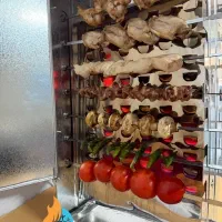 کباب پز موتور دار 14 سیخ +گارانتی