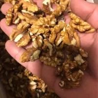 مغز عمده