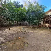 زمین-مسکونی-روستا-النگ-تک-برگ-سند