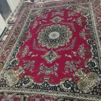 فرش|فرش|نسیم‌شهر, |دیوار