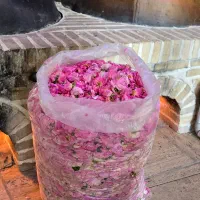 کاشان ۱ روزه ویژه