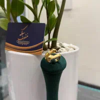 بالاترین خریدار طلا و سکه و آبشده و پارسیان|جواهرات|تهران, جنت‌آباد مرکزی|دیوار