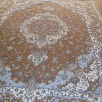 روفرشی|روفرشی|زابل, |دیوار