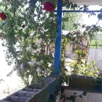 ویلا روستایی گیلان / حلیمه جان / نزدیک دریاچ