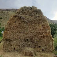 علف|لوازم جانبی حیوانات|ماکو, |دیوار
