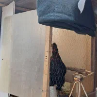 قفس چوبی