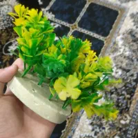 گیاه های مصنوعی آکواریومی