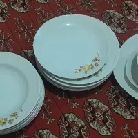 ظرف  فروش فوری