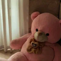خرس بزرگ معاوضـ