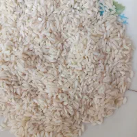 برنج نیمدانه علی کاظمی درجه یک مال کشت خودم