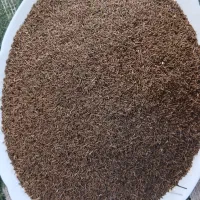 زیره کوهی اصل تمیز تازه امسالی