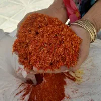 گل خس بفروش