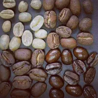 میکس قهوه ۱۴۰۰ جزیی عمده پخش