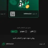 کسب در آمد(بیت پین)