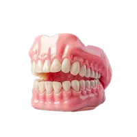 دندانپزشکی و دندانسازی