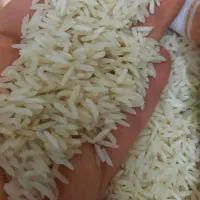 ۵کیلو برنج ایرانی