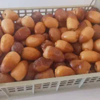 رطب امسال جنوب تازه تازه درج یک