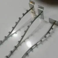 تیله و شاخک رگال