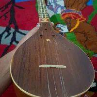 سه تار حرفه ای ناصری سفارشی قشقایی