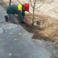 باغبان هستم