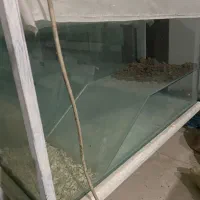 اکواریم برای پروش ماهی و زالو