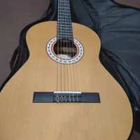 گیتار حرفه ای